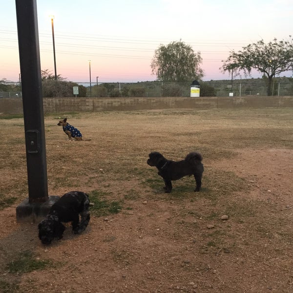 Desert Vista Dog Park Dog Park in Fountain Hills