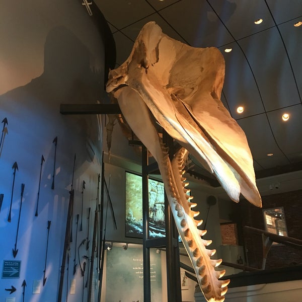Foto scattata a The Whaling Museum da Guillermo G. il 6/5/2016