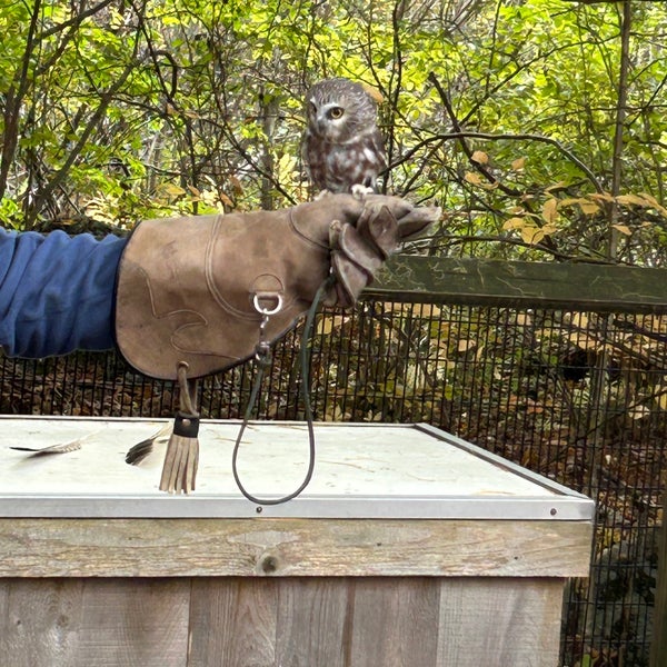 Squam Lake Science Center College Science Building in Holderness