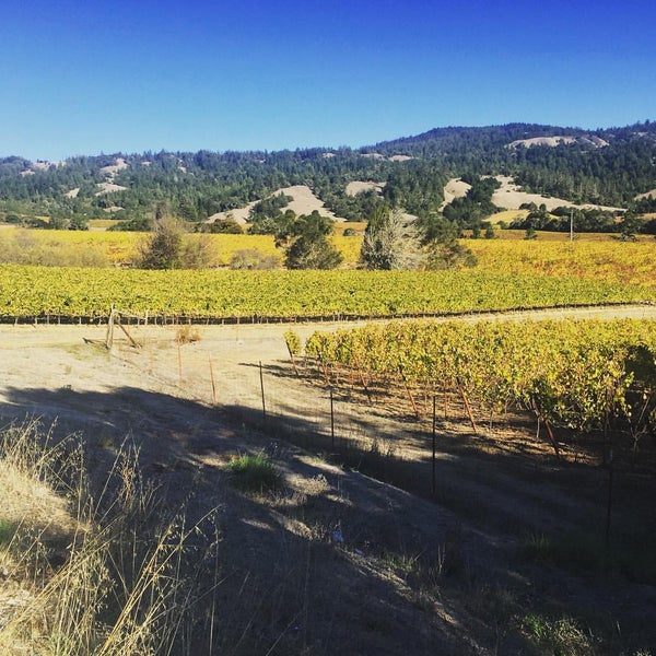 Photo taken at Roederer Estate by Urban S. on 11/7/2015