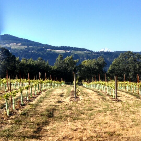 Photo taken at Cathedral Ridge Winery by Jenne M. on 7/18/2014