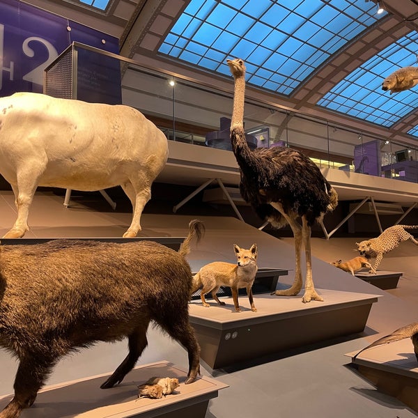 Photo taken at Museum of Natural Sciences by Wibert P. on 12/29/2020