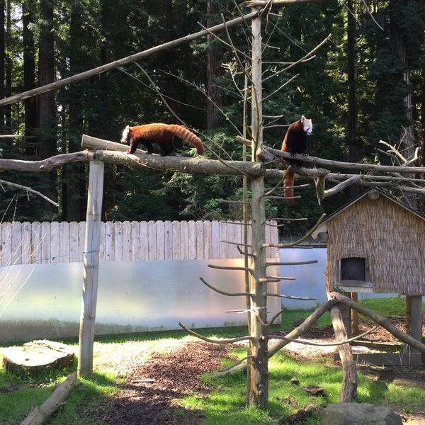 Photo taken at Sequoia Park Zoo by Amanda M. on 3/18/2016