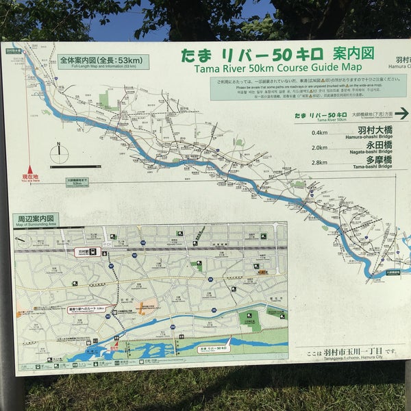 多摩川 左岸 海から53km 羽村 羽村市 東京都 多摩川 左岸 海から53km 羽村 羽村市 東京都