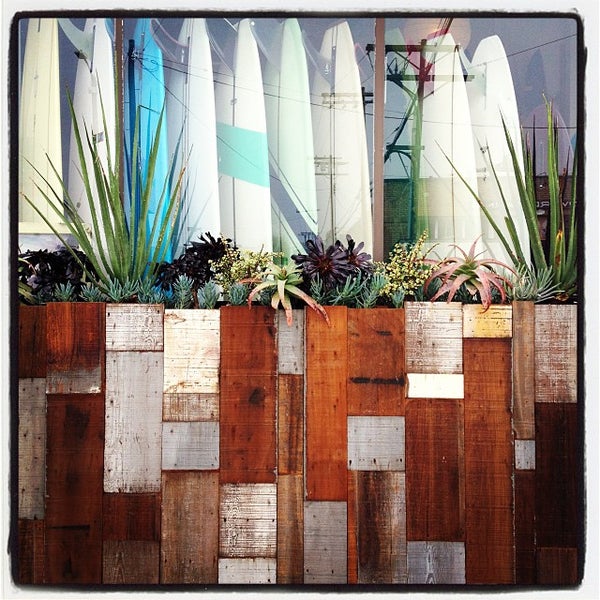 Mollusk Surf Shop Venice, CA