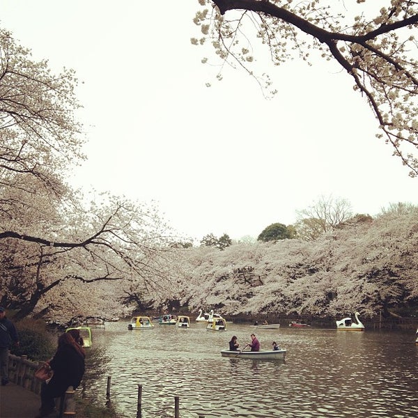 Photos At 井の頭公園ボート場 三鷹市 東京都