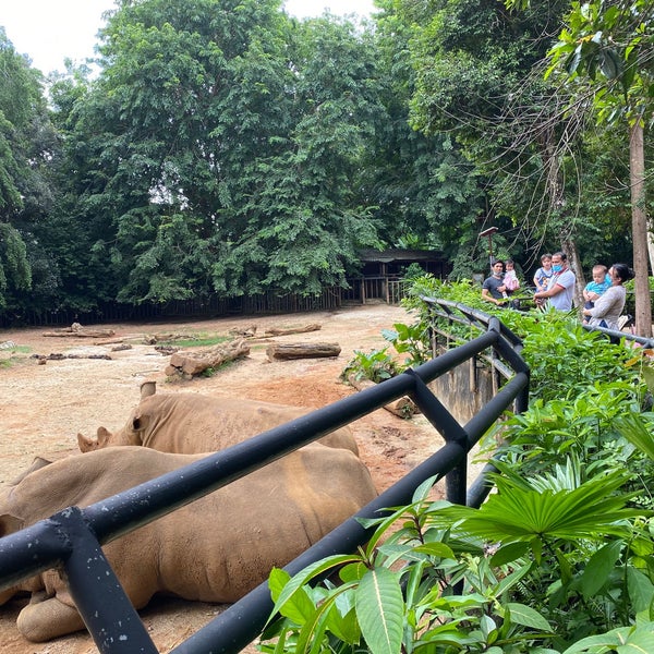 Photo taken at Zoo Melaka by Nina H. on 7/11/2020