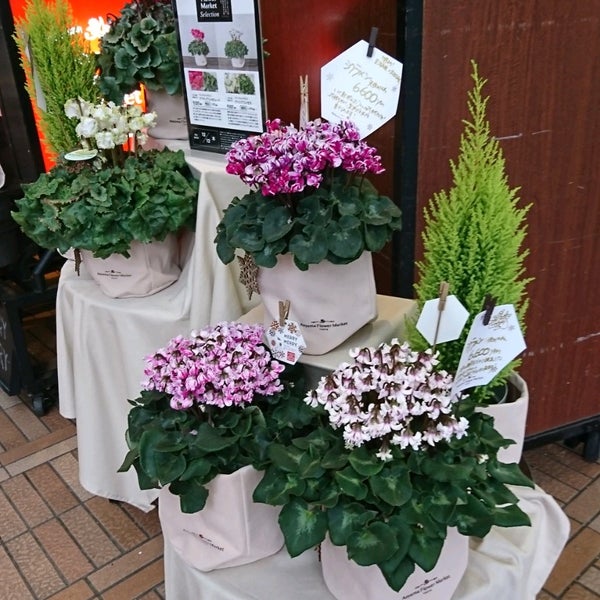 Photos At 青山フラワーマーケット Flower Shop In 新宿区 Photos At 青山フラワーマーケット Flower Shop In 新宿区