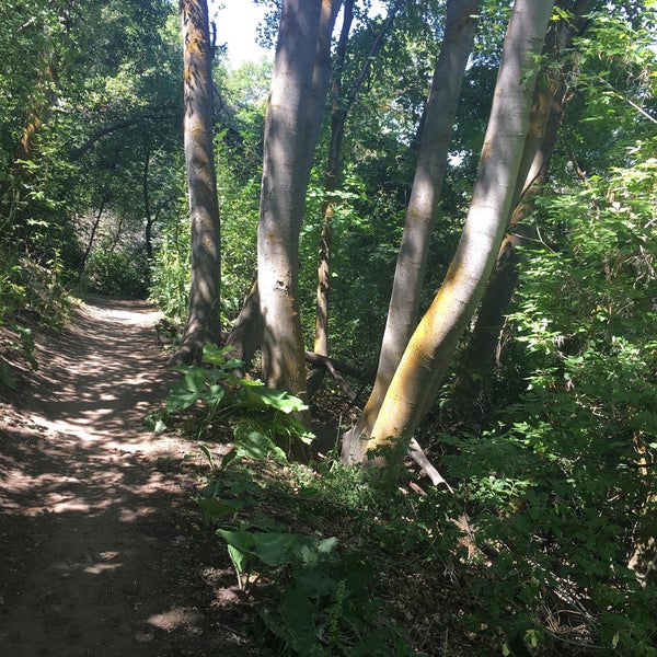 Burch Creek Trail Southeast Ogden Ogden Ut