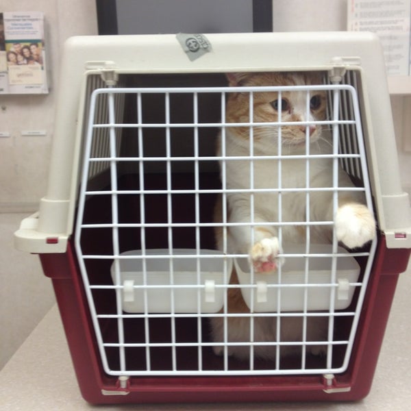 Photo taken at Oradell Animal Hospital by Marc H. on 5/31/2013