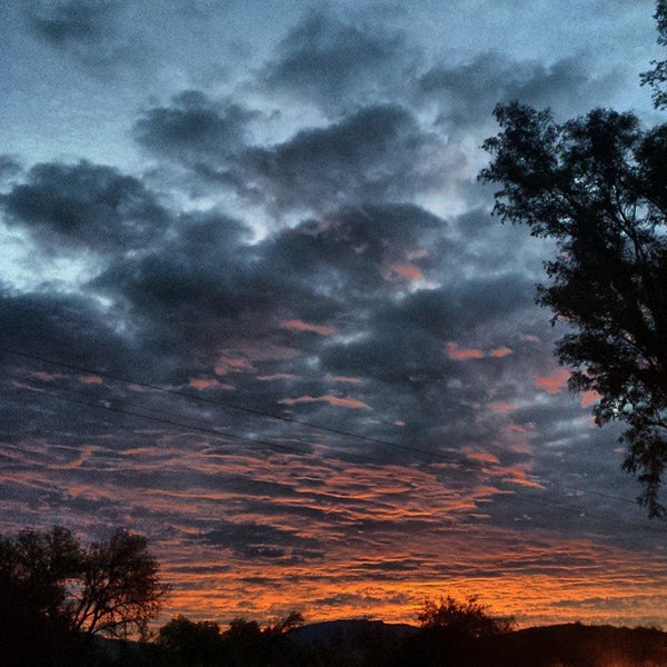 12/2/2014にR R.がCanyon Ranch in Tucsonで撮った写真