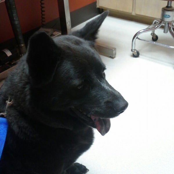Photo taken at Gentle Care Animal Hospital by E G. on 4/20/2013