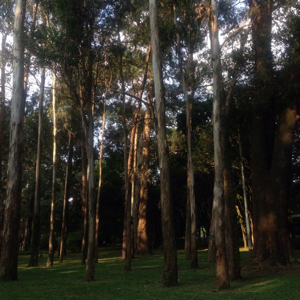 Photo taken at Ibirapuera Park by Bárbara L. on 4/2/2015