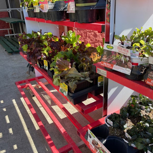 Photos at Lowe's Hardware Store