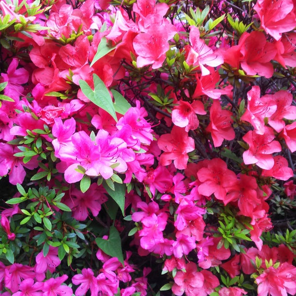 Photos At 茗荷谷 Myogadani 小日向 90 Visitors