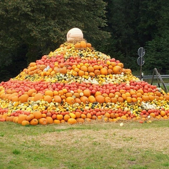 Fotos bei Bauerngarten Benninghoven Mauerweg 3