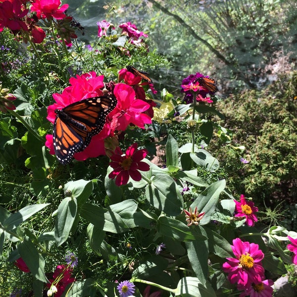 Crystal Gardens 2 Tips From 42 Visitors