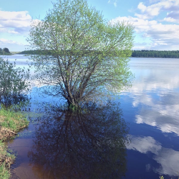 Пляж крутцы клинский район
