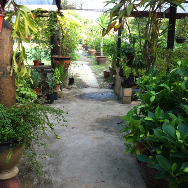 Ideal Plant Nursery Shah Alam Selangor