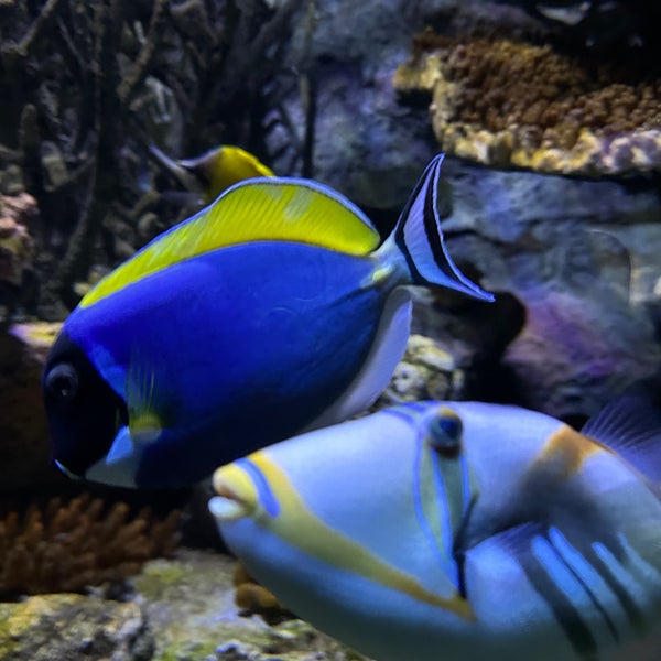 Foto tomada en National Aquarium  por Wilo D. el 9/19/2023