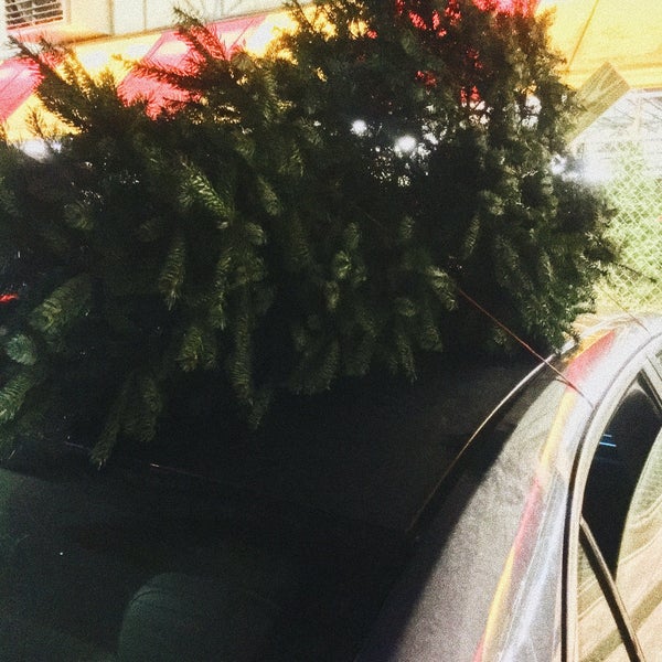 Houston Garden Centers 12 4 tips from 305 visitors