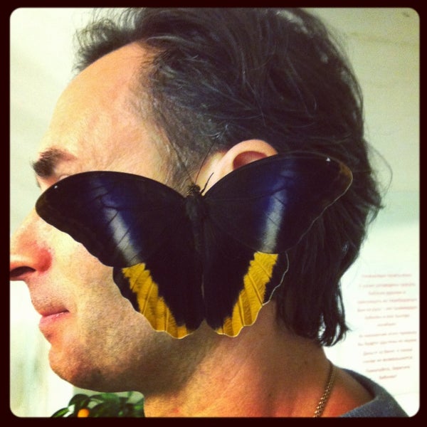2/3/2013にMaria 🔆 I.がМузей живых бабочек «Тропический рай»で撮った写真
