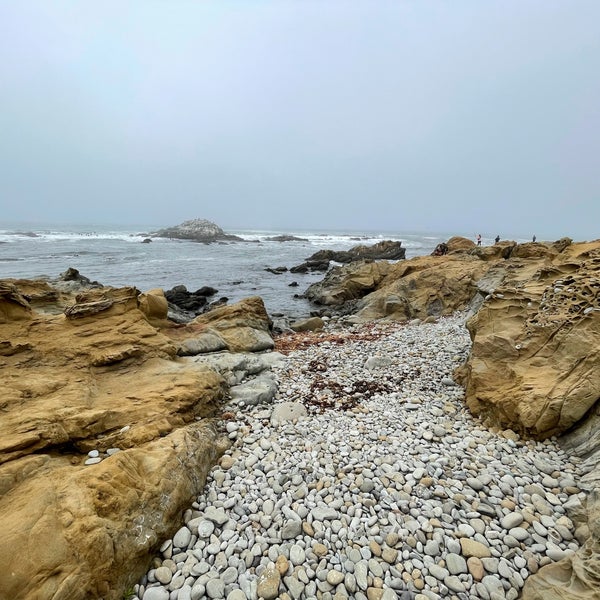 Fotos bei Bean Hollow State Beach Strand in Pescadero