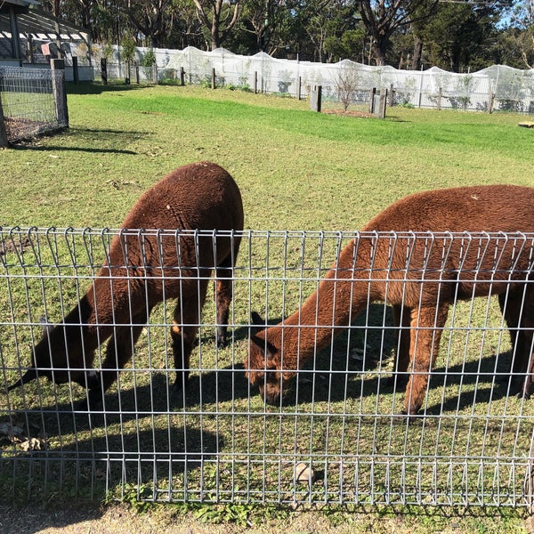 Photos at Symbio Wildlife Park Zoo