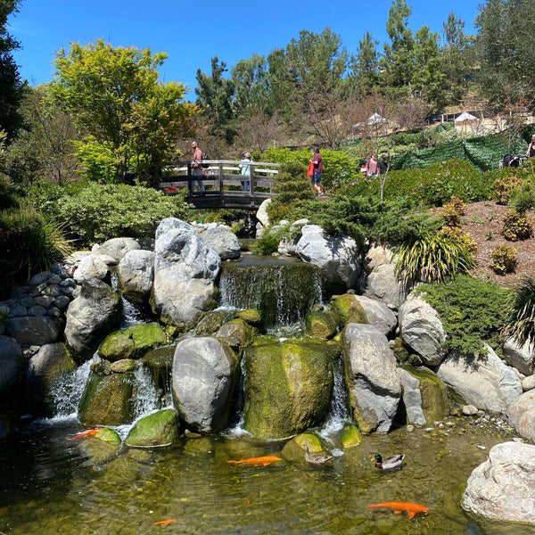 Photo prise au Japanese Friendship Garden par A T. le3/26/2022