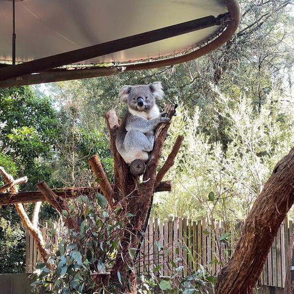 Healesville Sanctuary 40 tips from 3044 visitors