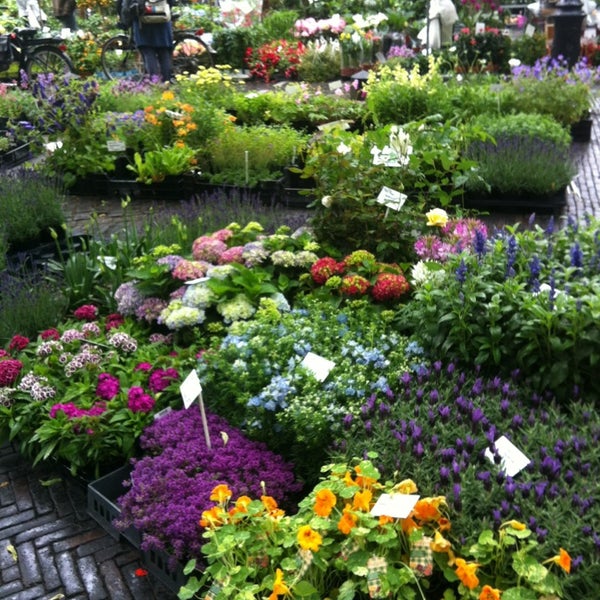 Bloemenmarkt Flower Shop in Utrecht