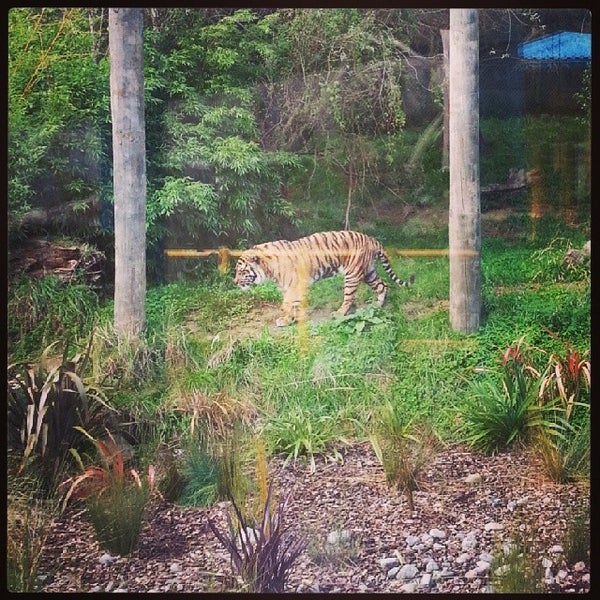 Снимок сделан в Wellington Zoo пользователем Derek R. 5/2/2014