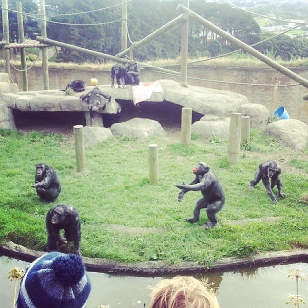 Foto scattata a Wellington Zoo da Derek R. il 4/27/2014