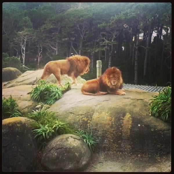 Photo taken at Wellington Zoo by Derek R. on 4/27/2014