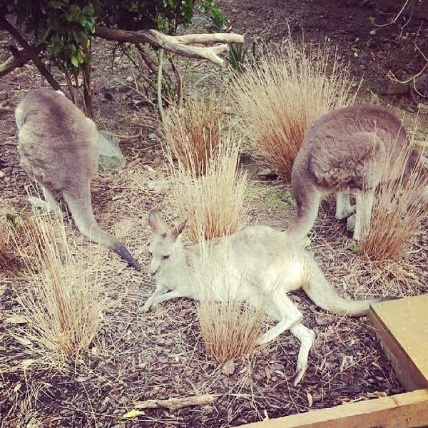 Foto tirada no(a) Wellington Zoo por Derek R. em 5/2/2014