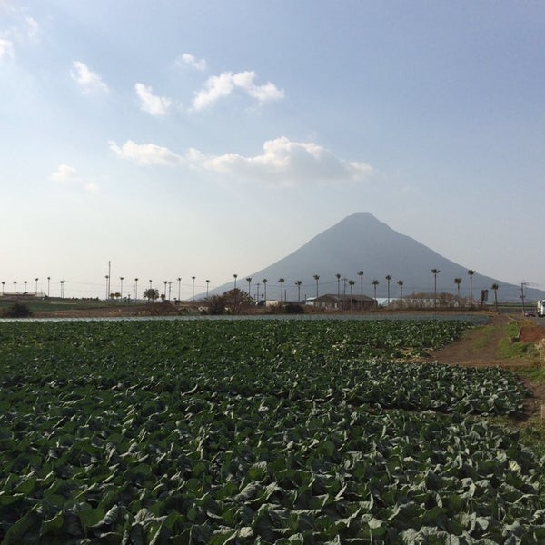 Photos At 開聞山麓自然公園 指宿市 鹿児島県