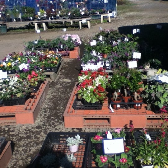 Jaさいたま 大宮緑花木センター 11 Visitors