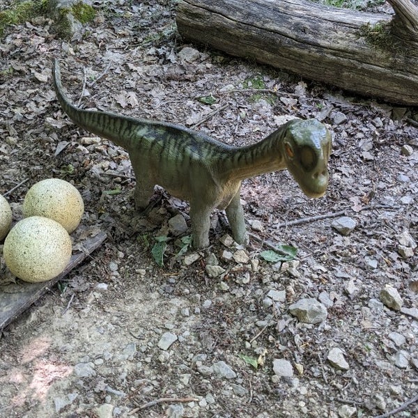 Foto tirada no(a) Dinosaurierpark Teufelsschlucht por Marc B. em 6/8/2023