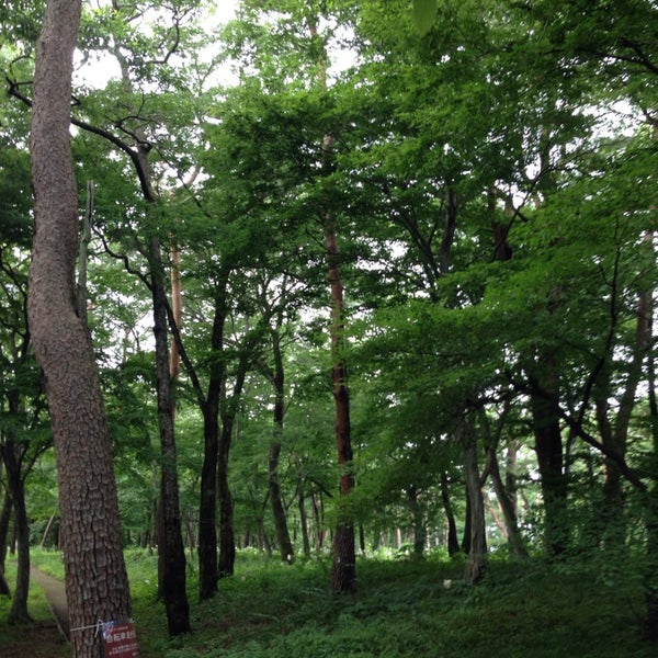 Photos At 那須街道赤松林 32 Visitors