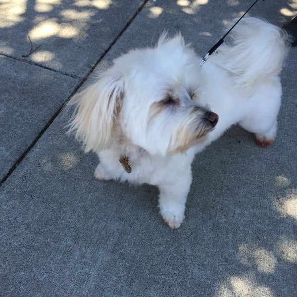 Sniff Dog Hotel 7 tips