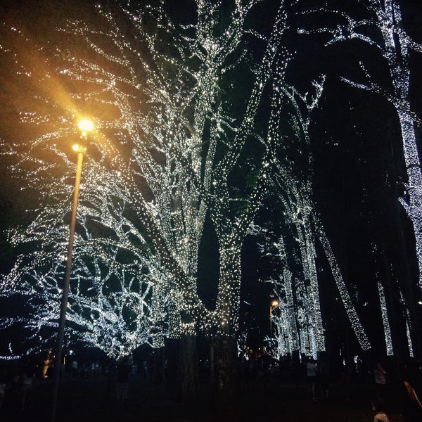 12/18/2014에 Mariana P.님이 Parque Ibirapuera에서 찍은 사진