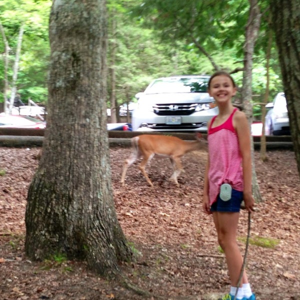 6/23/2014にXninaがBays Mountain Parkで撮った写真