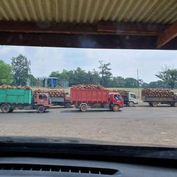 Kilang Sawit Felda Palong Timur Factory