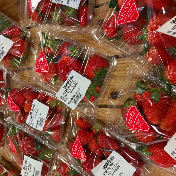 Fotos Em いわふねフルーツパーク Fazenda