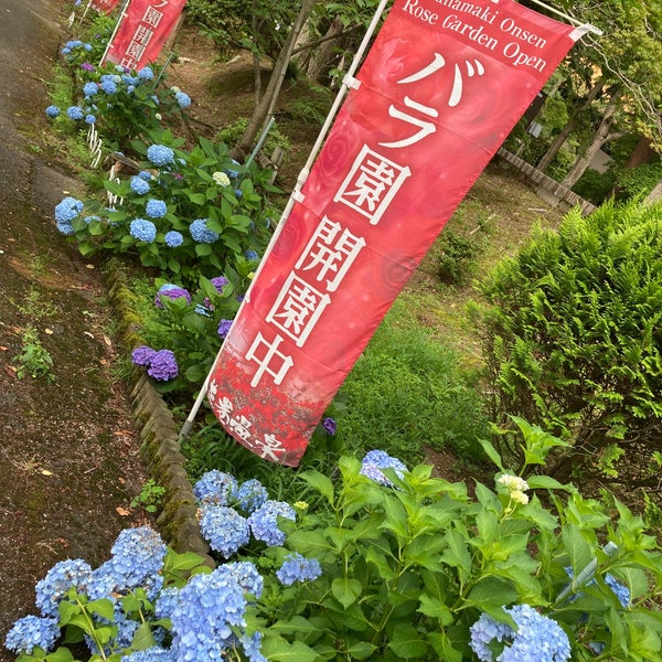 Fotos En 花巻温泉バラ園 花巻市 岩手県