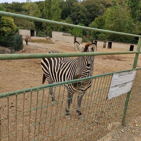 Photo taken at Polonezköy Zoo Country Club by Yusuf K. on 9/19/2020