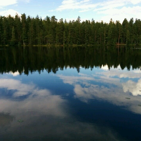 Озеро берестовое