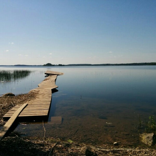 Озеро врево лужский район