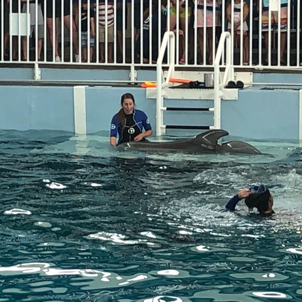 6/7/2020 tarihinde Scott R.ziyaretçi tarafından Clearwater Marine Aquarium'de çekilen fotoğraf