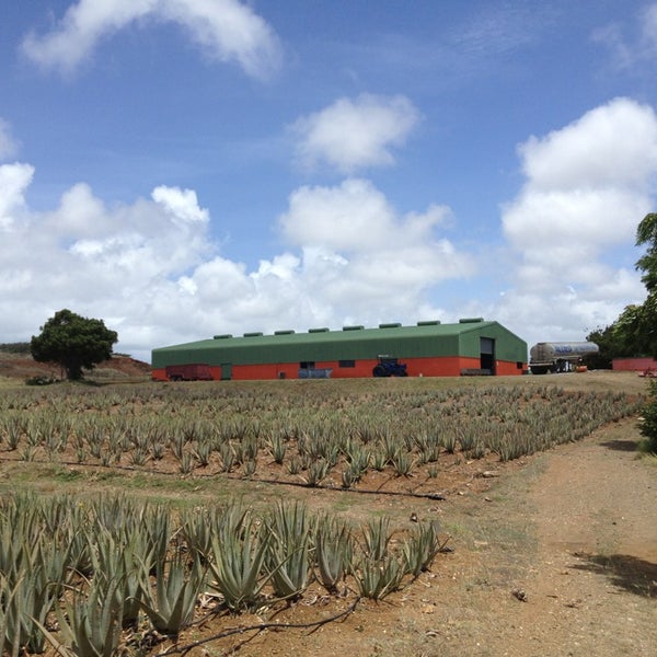 Photo taken at Aloe Vera Plantation. by KitKat on 5/27/2013